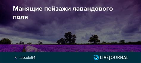  Манящие пейзажи и символика их толкования 