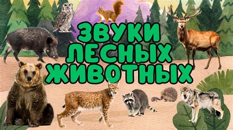  Мелодичные звуки лесных певцов 