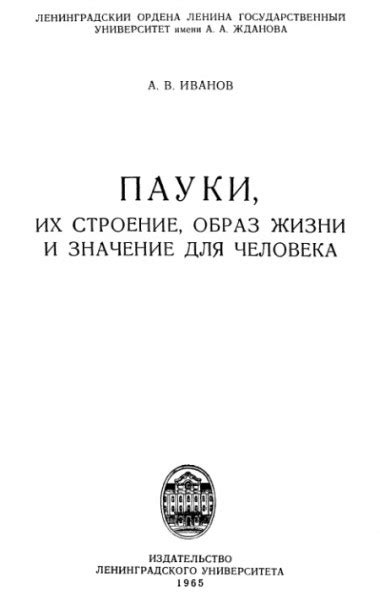  Пауки в снах: тайное значение 