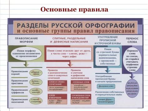  Подстреленный зверь: правила орфографии и главные пояснения 