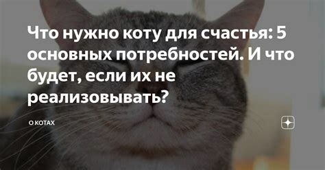  Позитивные и негативные мечты о милых котах: какова их тайная значимость?
