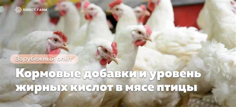  Признаки в сновидениях о мясе птицы: напоминание о важности бережного отношения к физическому благополучию 