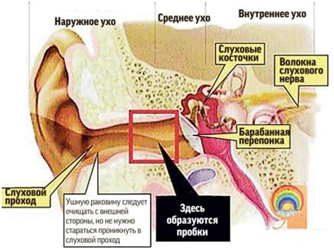  Причины и последствия ушных пробок 