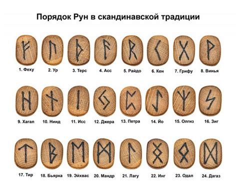  Различные значения и значения символов жизни, связанные с миниатюрным луком в мире сновидений 