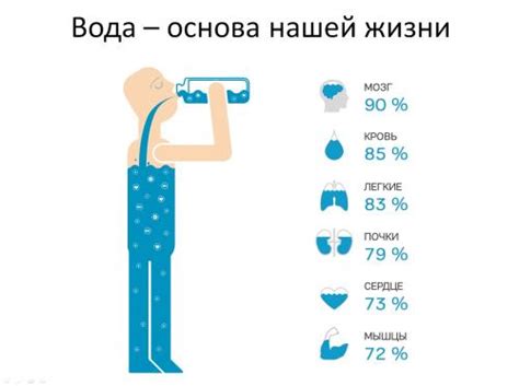  Роль воды в сновидении о чистке дороги 