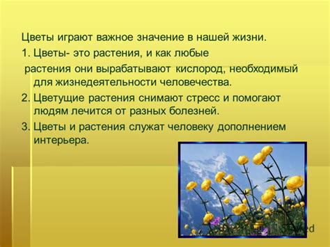  Роль цветов в толковании аурных образов в сновидениях Харькова 