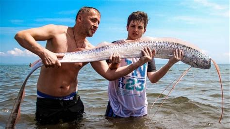  Рыба в доме: предвестник перемены 