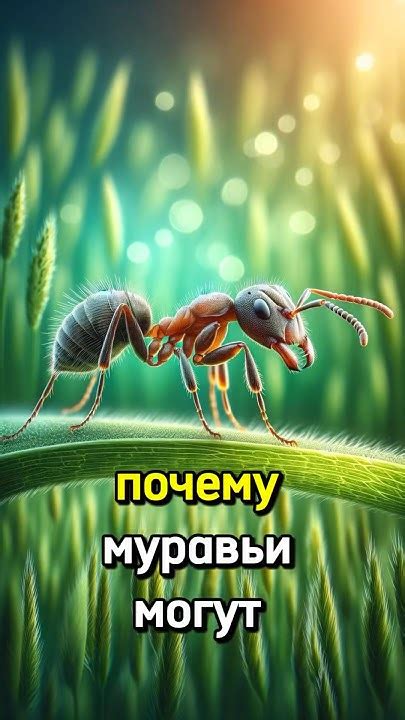  Символика сна: почему муравьи на руке могут быть выразителями сильных чувств 