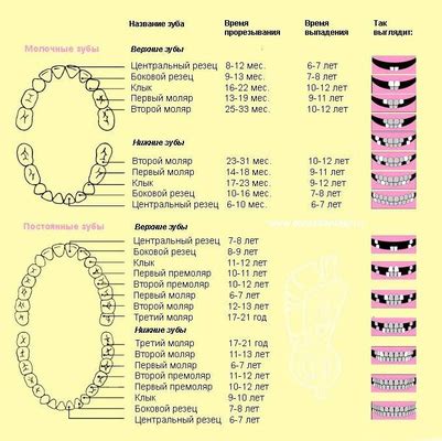  Сны о прорезывании зубов у малыша и беспокойство родителей 