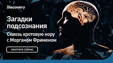  События во сне и реальности: как расшифровать загадки подсознания 