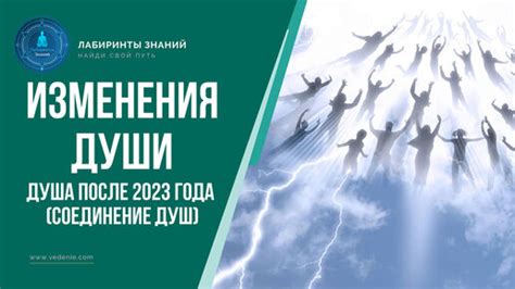  Соединение душ: особенности развития нашей взаимосвязи 