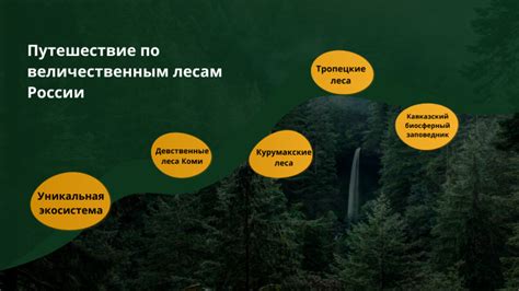  Уникальный раздел: Блаженство от путешествия по величественным вершинам
