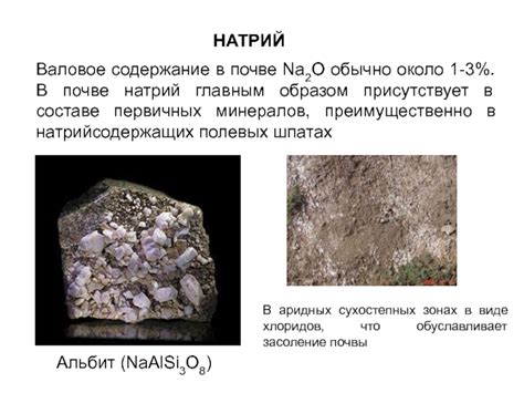  Что означает валовое содержание вещества в почве? 