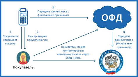 Beeline OFD: вопросы и ответы