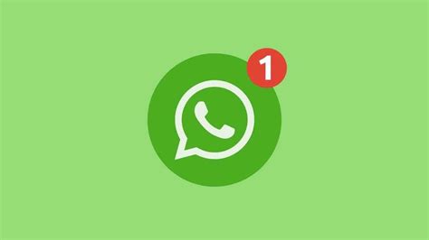 WhatsApp для Android: последнее обновление